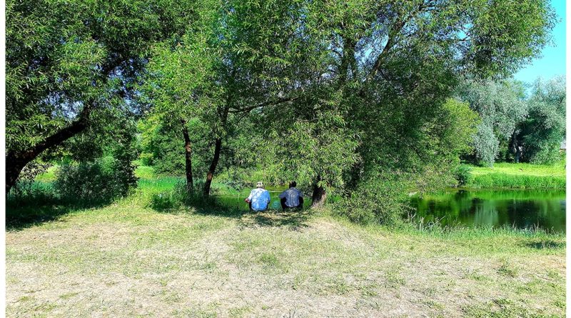 Vasarąsenjorų sveikatai svarbūs mineralai
