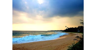 Šri Lanka – įstabaus grožio ir puikių žmonių šalis
