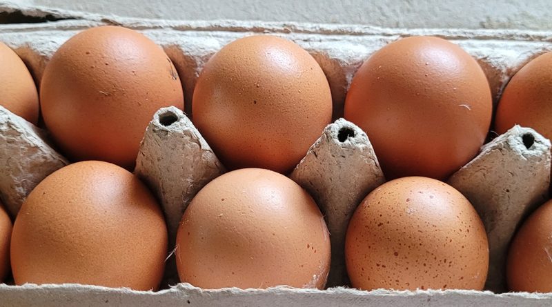Ką reiškia užrašai ant kiaušinių pakuočių