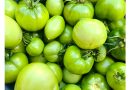 8 gardūs žalių pomidorų receptai